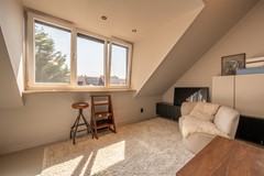 Goudzoeker 21-43.jpg
